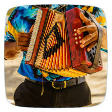 Learn to Play Accordion: Best App Guide